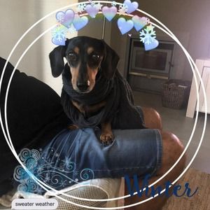 Meet your Posher, Colleen